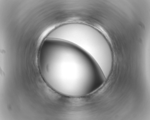 X0000091201336200708091033