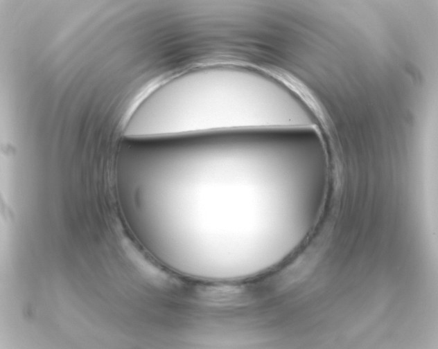 X0000091201337200708091033