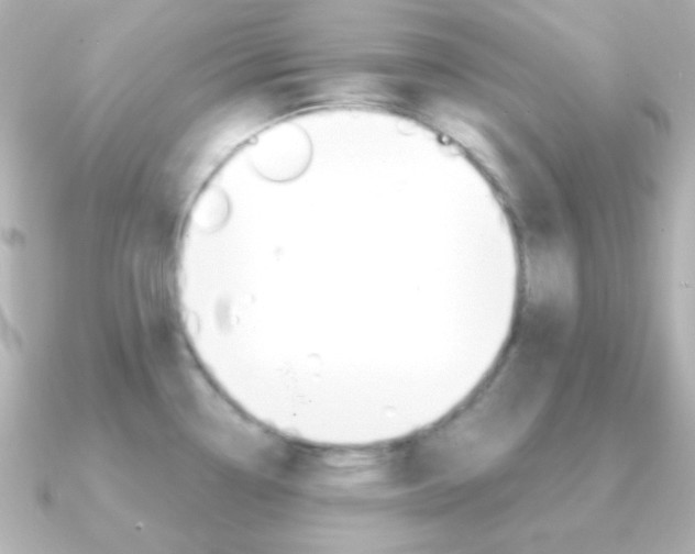 X0000091201338200708091033
