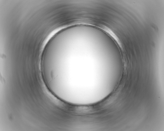 X0000091201339200708091033