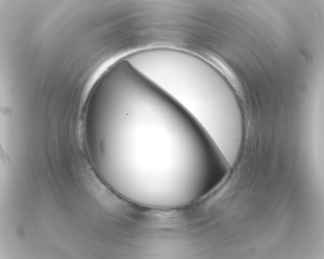 X0000091201340200708091033