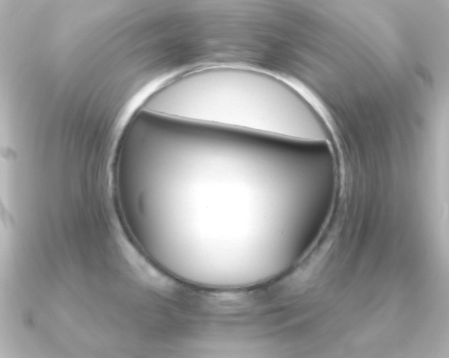 X0000091201341200708091033