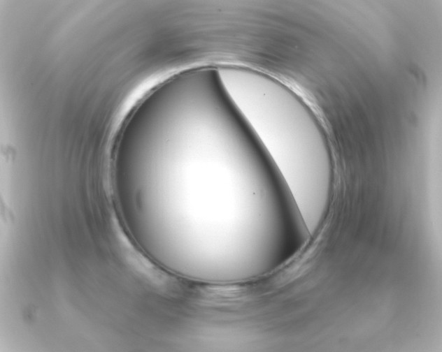 X0000091201342200708091033