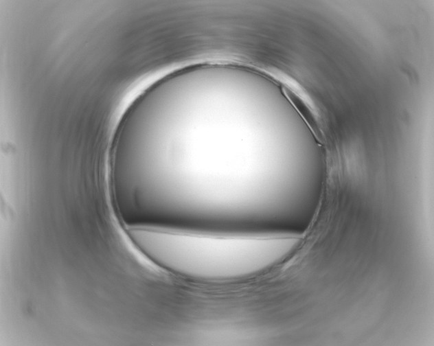 X0000091201343200708091033