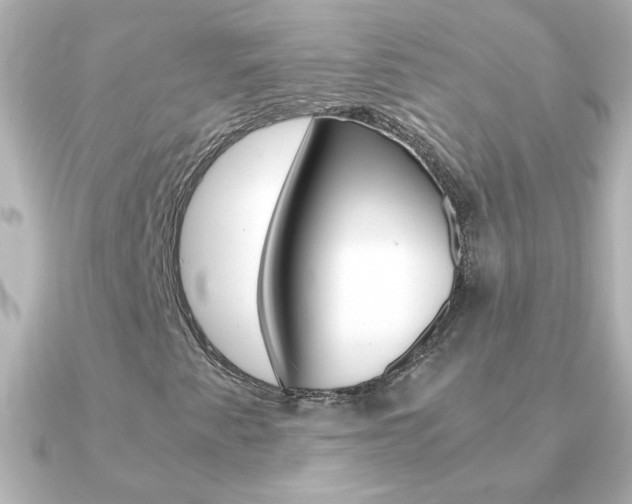 X0000091201345200708091033