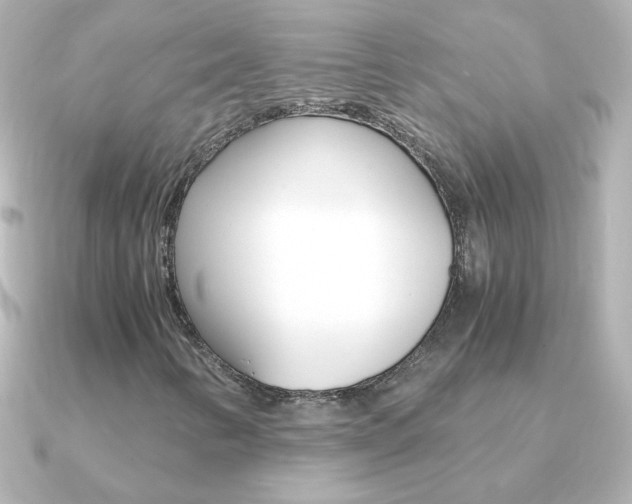 X0000091201346200708091033