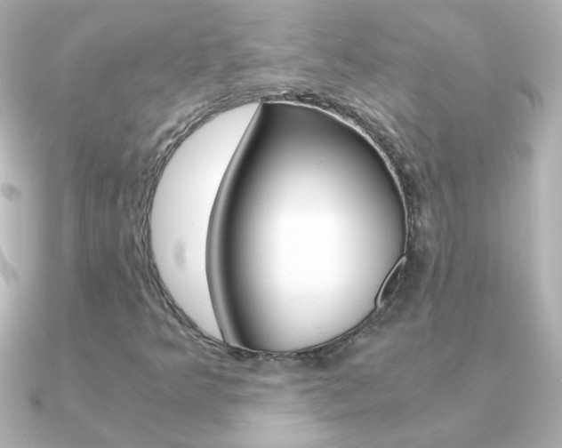 X0000091201349200708091033