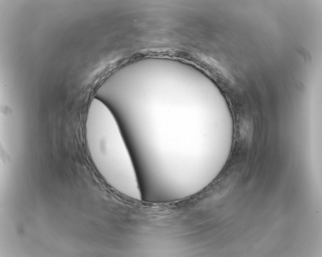 X0000091201350200708091033