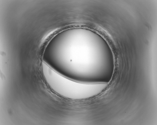 X0000091201352200708091033