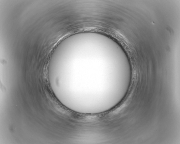 X0000091201353200708091032