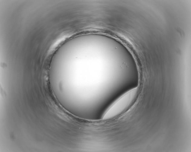 X0000091201355200708091032
