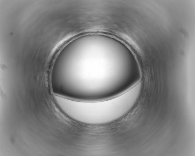 X0000091201356200708091032