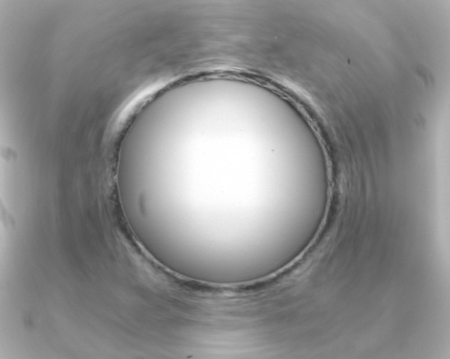 X0000091201359200708091032