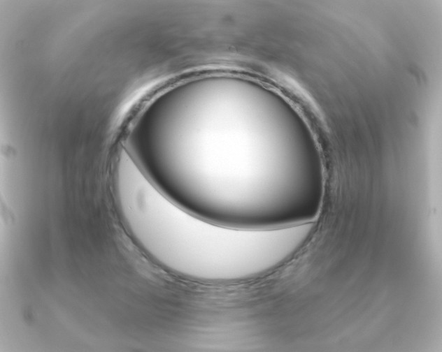 X0000091201360200708091032