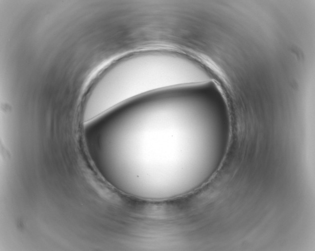X0000091201364200708091032