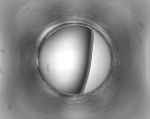 X0000091201368200708091032