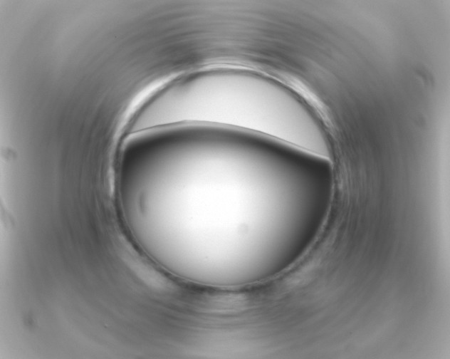 X0000091201372200708091032