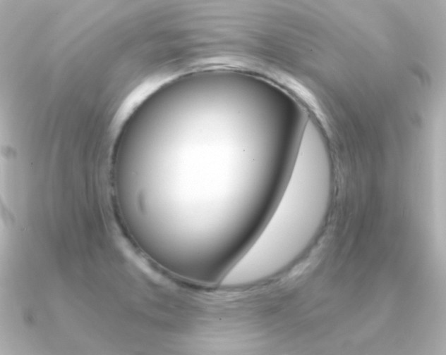 X0000091201373200708091032