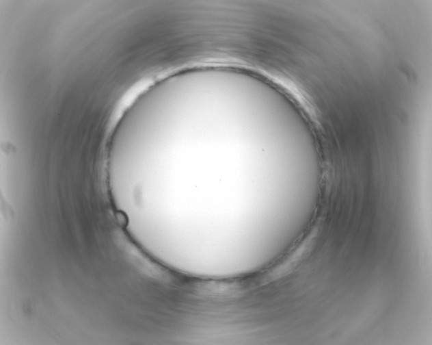 X0000091201374200708091032