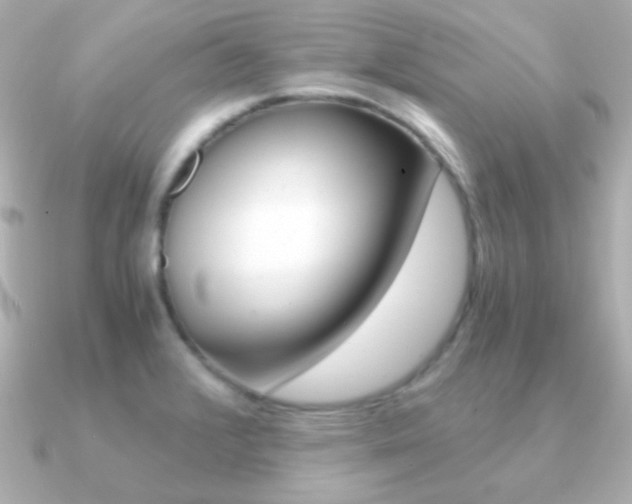 X0000091201376200708091032