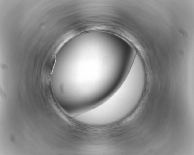 X0000091201377200708091032