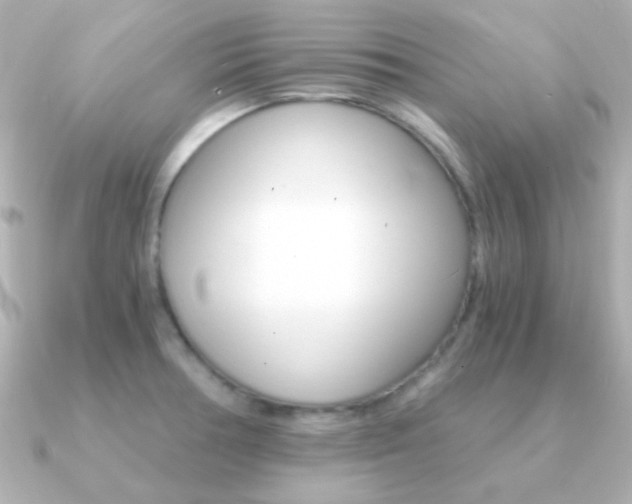 X0000091201378200708091032