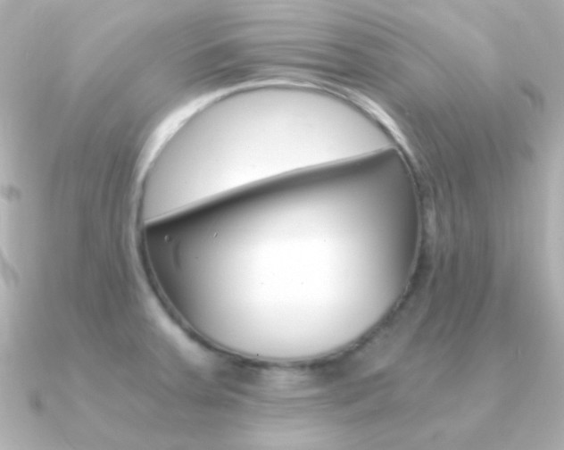 X0000091201379200708091032