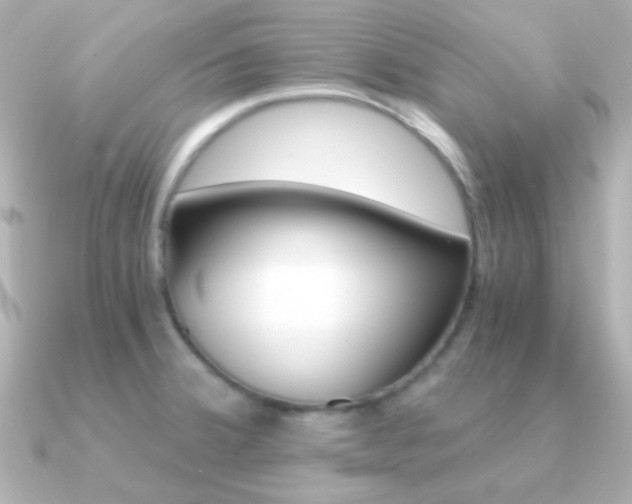 X0000091201380200708091032
