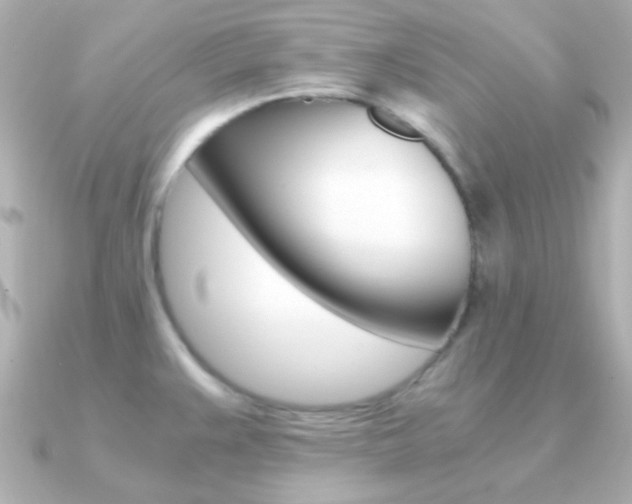 X0000091201383200708091032