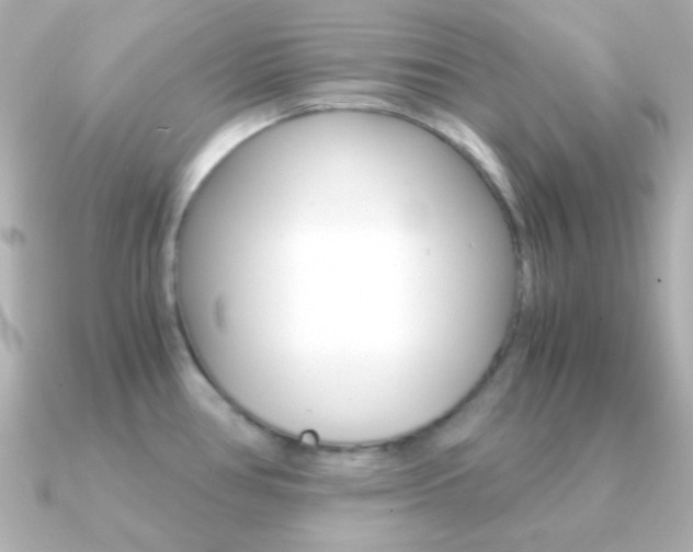 X0000091201386200708091032