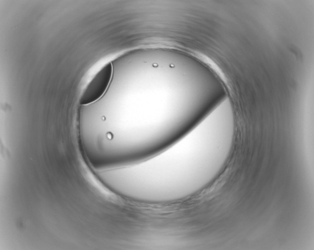 X0000091201387200708091032