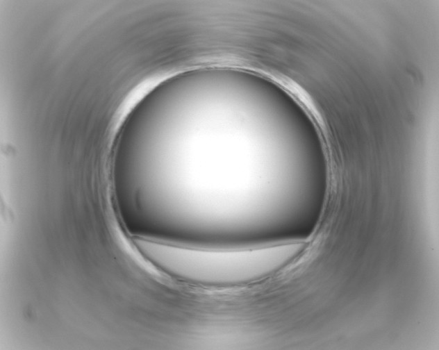 X0000091201389200708091032
