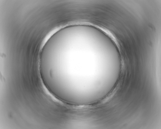 X0000091201390200708091032