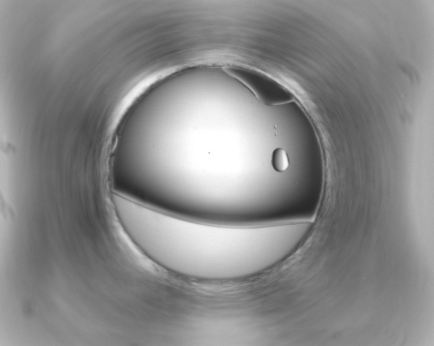 X0000091201392200708091032