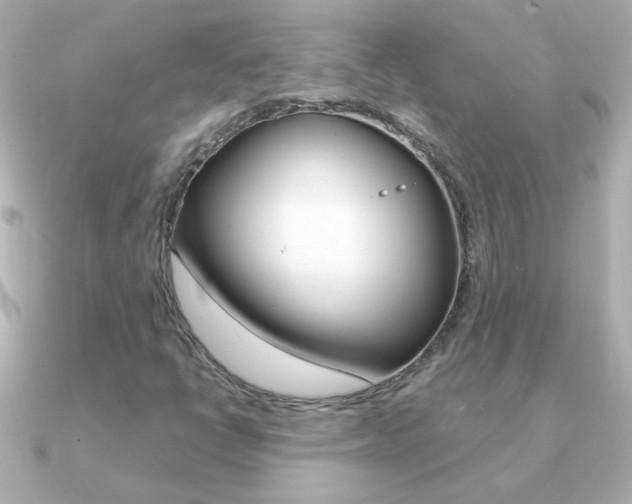 X0000091201398200708091032
