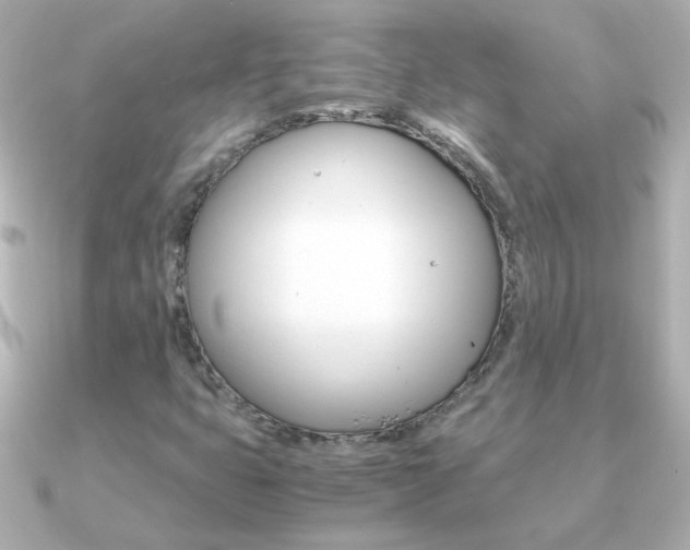 X0000091201399200708091032