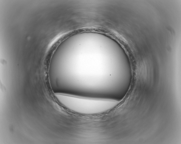 X0000091201400200708091032