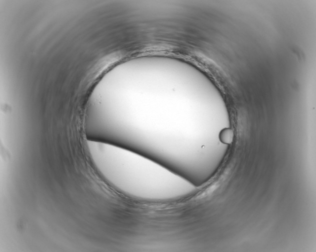 X0000091201401200708091032