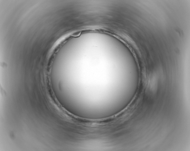 X0000091201412200708091032