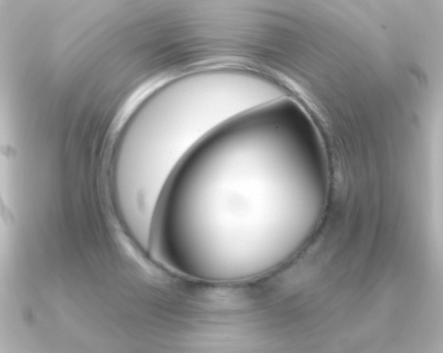 X0000091201418200708091032