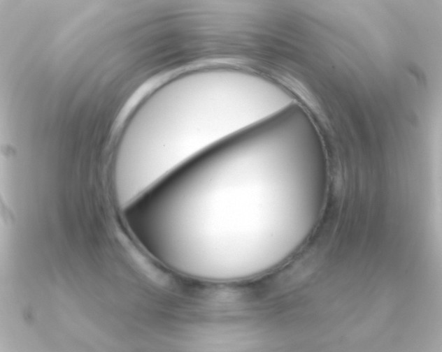 X0000091201420200708091032