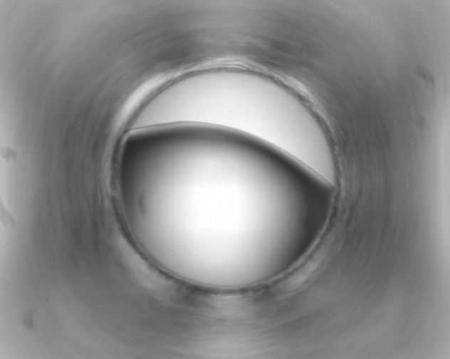 X0000091201422200708091032