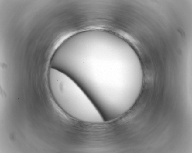X0000091201423200708091032
