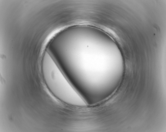 X0000091201424200708091032