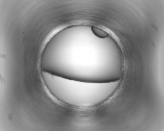 X0000091201429200708091032