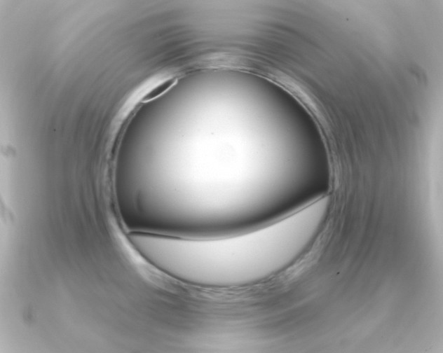 X0000091201434200708091032