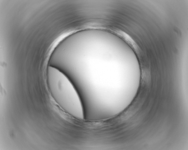X0000091201435200708091032