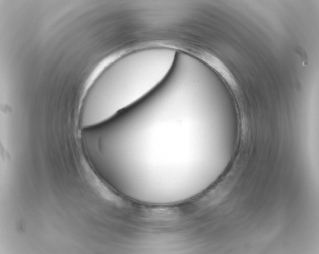 X0000091201436200708091032
