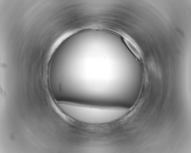 X0000091201437200708091032