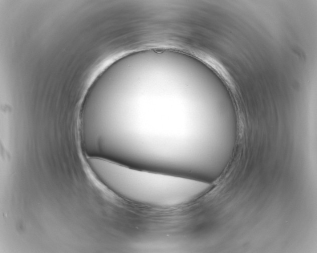 X0000091201439200708091032
